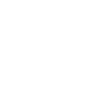 Software Development